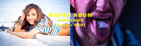 гидропоника Алзамай
