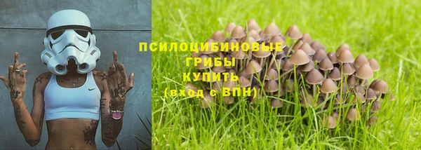 дурь Алексин