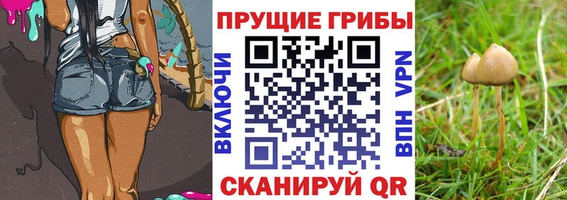 Псилоцибиновые грибы Magic Shrooms  Камбарка 